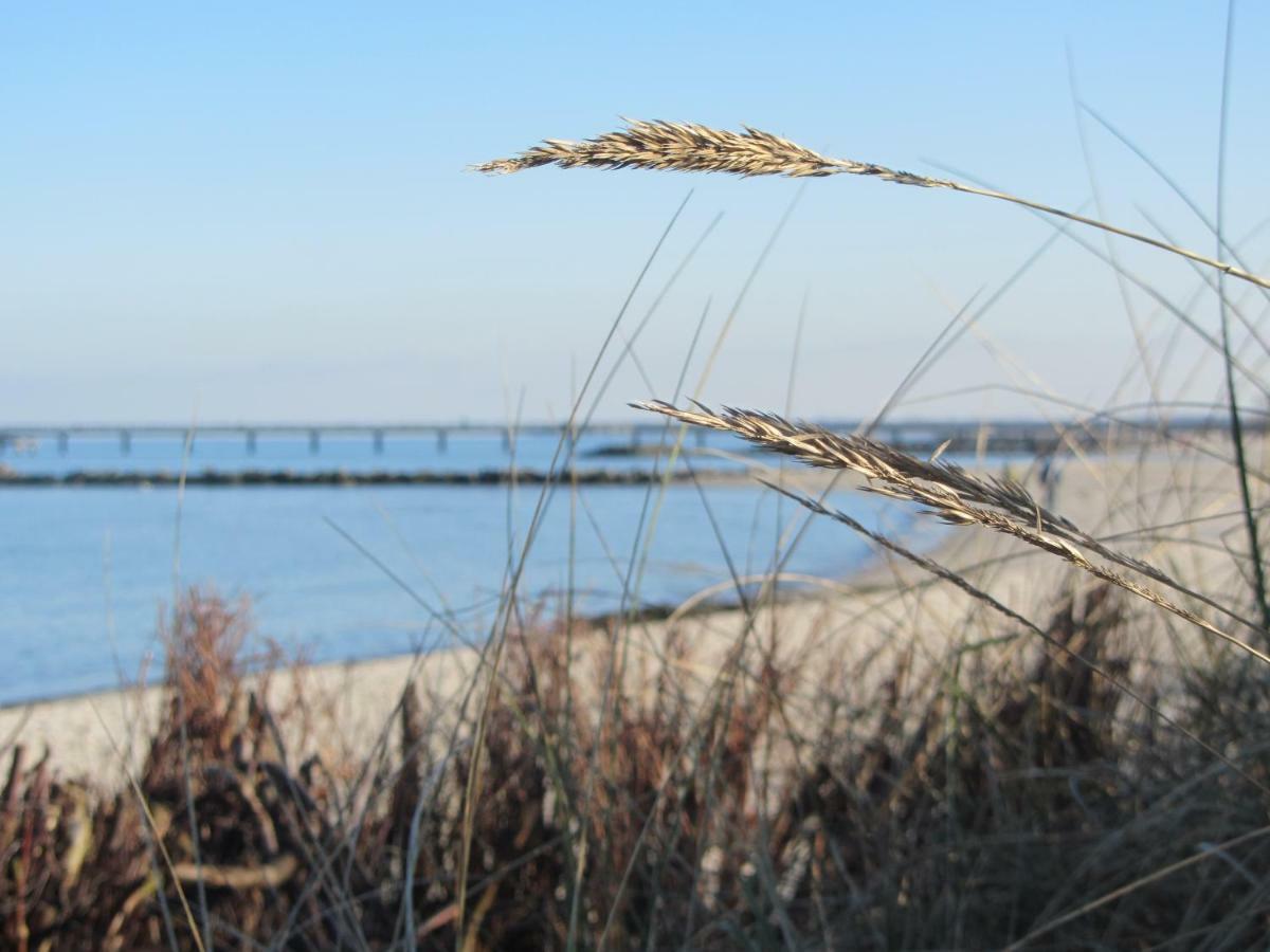 Ferienwohnung Sonnenschein Schonberger Strand Buitenkant foto